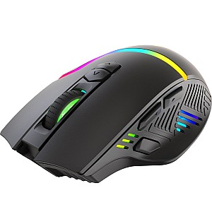 Mouse Gaming M791W  Wireless